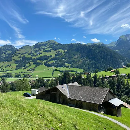 펜션 Schoenenmatte